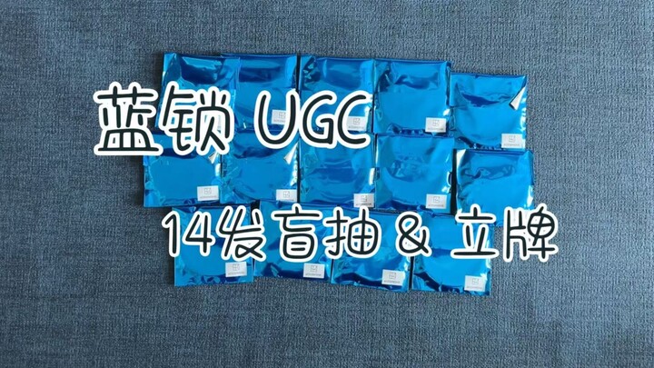 盲抽是什么韭菜专用肥料吗？ /蓝锁 UGC 盲抽 & 立牌 & 衣服