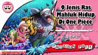 9 Jenis Ras Mahluk Hidup Di Dunia One Piece