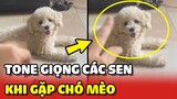 Trung bình TONE GIỌNG của các con Sen khi thấy Chó Mèo 😂 | Yêu Lu