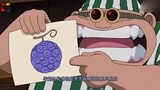 One Piece, Oda mengubur 1000 kata pertanda mengumumkan, "buah karet" memiliki rahasia besar