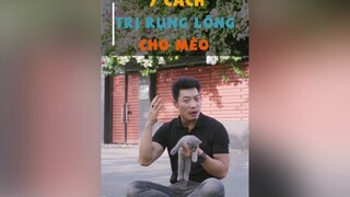 7 cách trị rụng lông cho mèo dcgr tuitienpet LearnOnTikTok pet