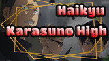 [Haikyu!! Karasuno High: Don't Be Afraid, We Just Come for Volleyball