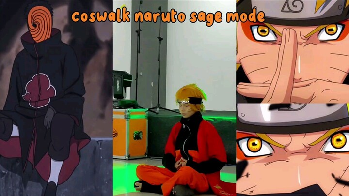 coswalk naruto sage & Tobi akatsuki