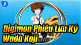 Digimon Phiêu Lưu Ký|【Tri/AMV】Đứa trẻ được chọn và Aurora（Dành cho Wada Koji）_1