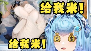 【恬豆】讨口子闹麻了，毫不掩饰“给我米！我最爱米了！恬豆包是什么？有米重要？”