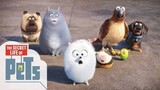 The Secret Life of Pets 1 (2016) เรื่องลับแก๊งขนฟู 1