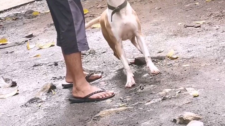 Sering onli 3 APBT