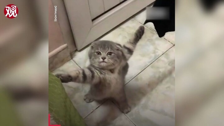 một video tough guy nên xem