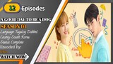 A Good Day To Be a Dog episode  12 Tagalog Dubbed