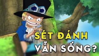 Những nhân vật có nhân phẩm cao trong One Piece