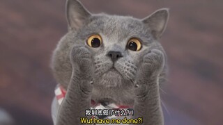 这才是猛男爱看的动画！