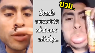 รวมคลิปตลกๆ : ผึ้งน้อยนี่มันร้ายจริงๆ!!