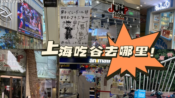 【上海线下吃谷路线分享】关于推小排球与es来魔都旅游能逛哪里｜迪美百联外文书店jump系一网打尽！｜还有一些购物分享（挠头