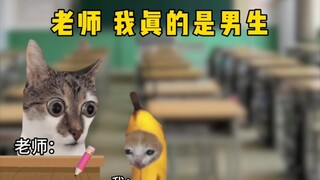 【猫meme】老师 我真的是男生