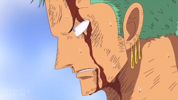 Reason why Zoro had always become serious