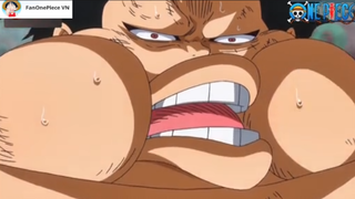 Luffy phiên bản Sumo bao ngầu... #onepiece #vuahaitac #shooltime