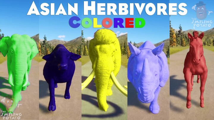 Colored Gaur, Colored Elephant & others Colored Asian Herbivores Animals Speed Races in Planet Zoo 🐘