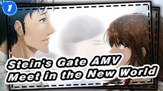 [Stein's Gate AMV] Finally, We'll Meet in the New World (part 2)_1