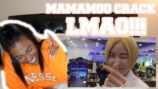 MAMAMOO CRACK?! | FUNNY AF REACTION!!