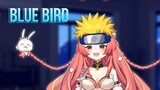 Blue Bird (Naruto Opening) - Hibiki Du Ca cover