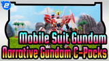 [Mobile Suit Gundam/Unggah Ulang] Narrative Gundam C-Packs_2