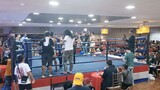 Reymart Gaballo vs Michael Bravo Full Fight with Commentary | WBO Interim  Bantamweight Title