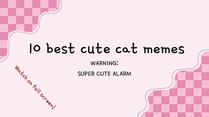 10 of the most cute cats in the world 🥰🥰