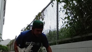 LS
