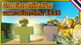 ROBLOX : ONEPIECE MILENUIM ผลพระแม่งยังกะไททัน555 🤚