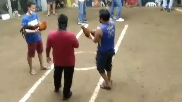 Panalo3