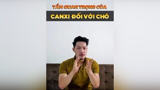 Tầm quan trọng của Canxi đối với chó tuitienpet petonesaigon petnhatrang