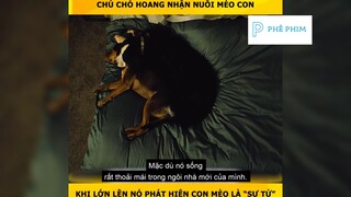 "Đường về nhà của cún con"P2