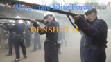 Denshutai Shogunate Government elite corps