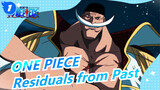 ONE PIECE| Residuals from Past_1
