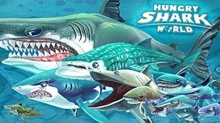 Pemburu Paling Ganas‼️di Lautan Ganas🦈🌊