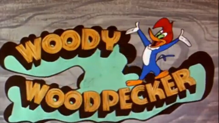 Woody Woodpecker Episode 72 Arts and Flowers