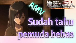 [Attack on Titan] AMV | Sudah tahu, pemuda bebas