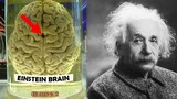 How Einstein's Brain was Different ?