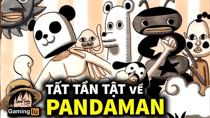 Tất Tần Tật về Pandaman  - Nhân Vật Bí Ẩn Hóng Hớt Nhất One Piece