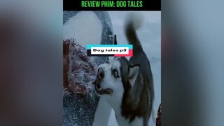 Phim dog tales p3 phim phimhay phimmoi dog chucho thientube