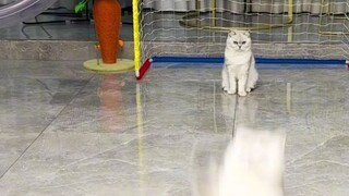 So cute..