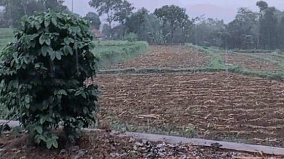hujan 🥶🥶🥶
