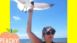 นก VS คน 😂 วิดีโอนกตลก