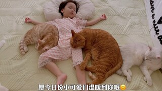 当宝宝睡觉时，小猫咪们又一个接一个的来了