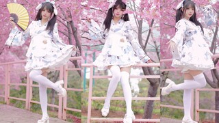 这是谁家的白丝和风兔兔呀~樱花下的辉夜城~