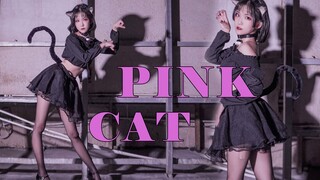 ❤️PINK CAT❤️ฉันจะทำให้คุณหลงเบื้องหน้าความเซ็กซี่ไม่ควรบอกว่าน่ารัก⭐