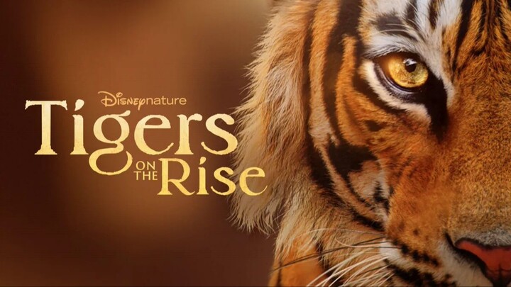 Tigers on the Rise Sub Indo (2024)