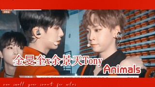 [PRODUCEX101][Tony余景天x金旻奎][旻天//脱轨]Animals