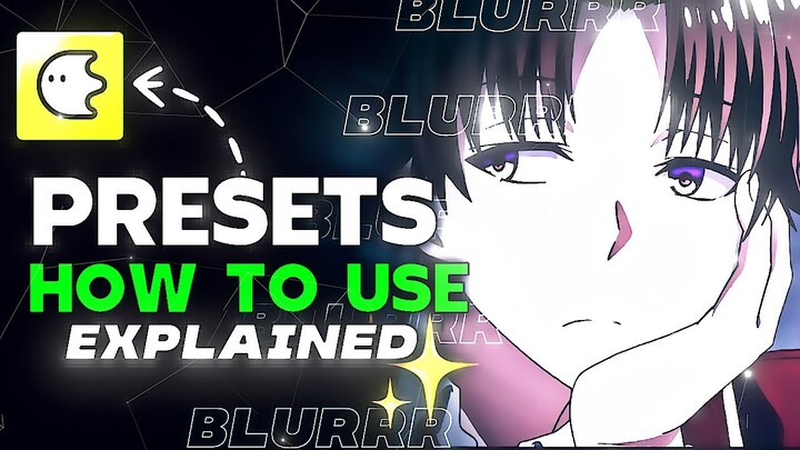 How To Use Presets On Blurrr App | blurrr app tutorial