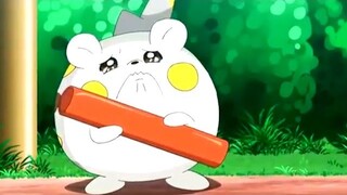 togedemaru and sophocles pokemon amv